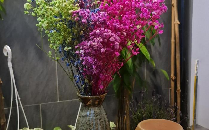 Nhà nguyên căn 1 phòng ngủ, tại trung tâm 2