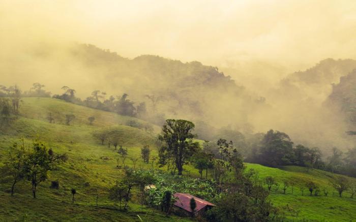 Finca Del Cielo