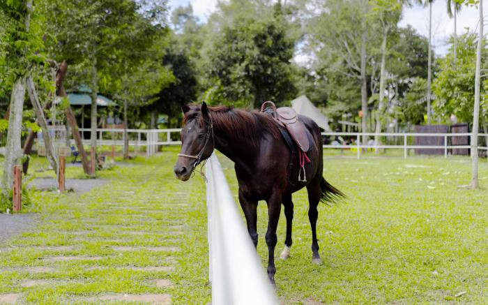 DANCASA FARMSTAY