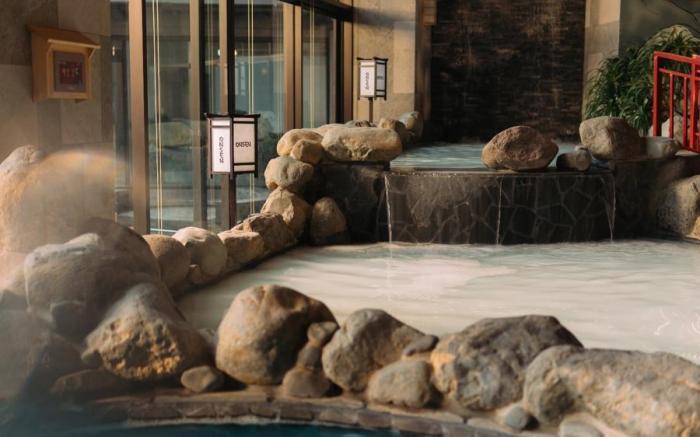 Onsen Landmark 2 Ecopark Resort Apartment