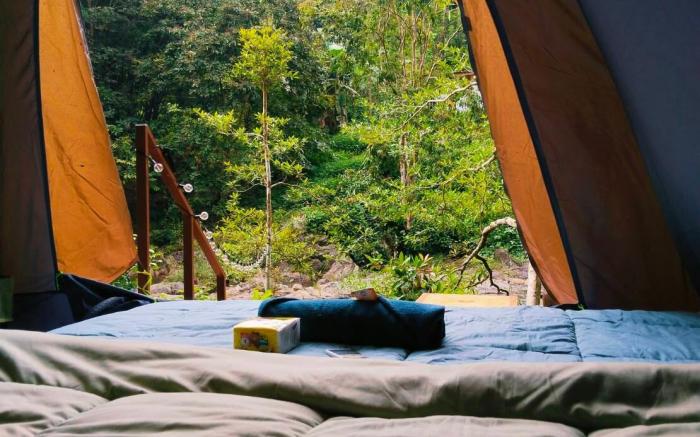 Brown tent