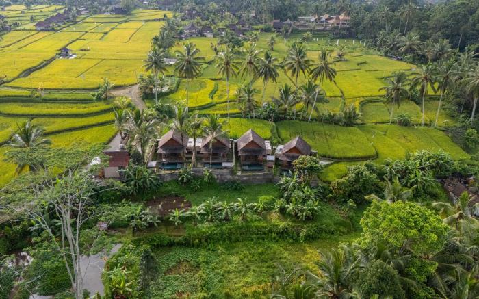Moonterra Villa Sebatu