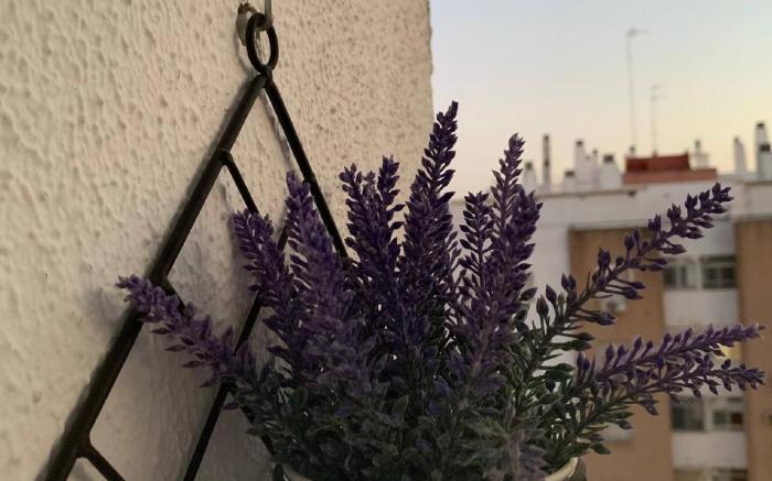 Anfitriones De Glamour - Albor De Sevilla