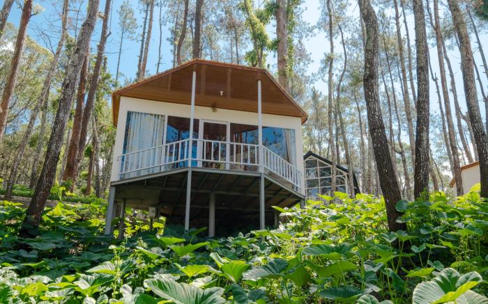 La Pino Mount Batur and Hot Spring