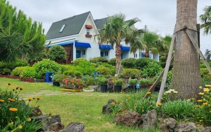 Joypingble House