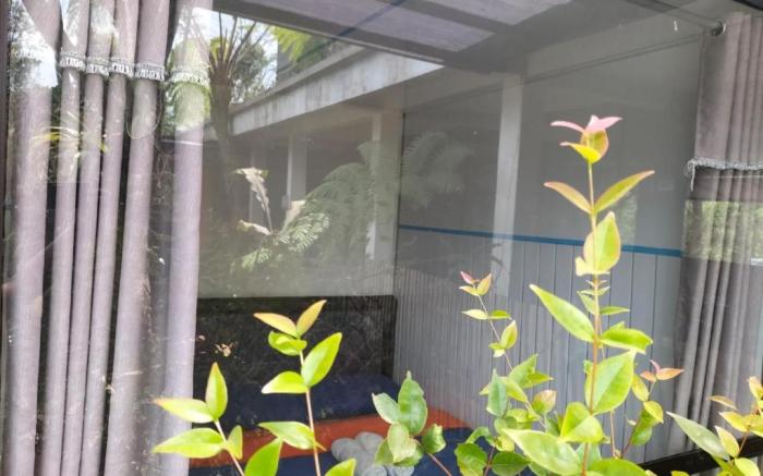 BROMO ECOLODGE