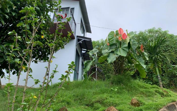 Homestay Hồng Phúc