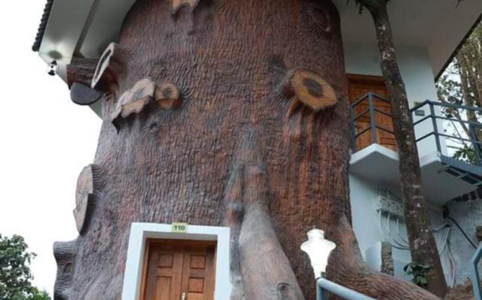 Love Hills Resort