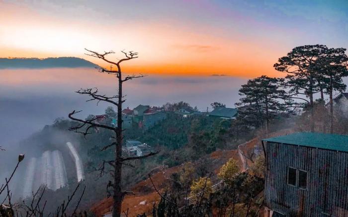 Dalat Harmony Garden 