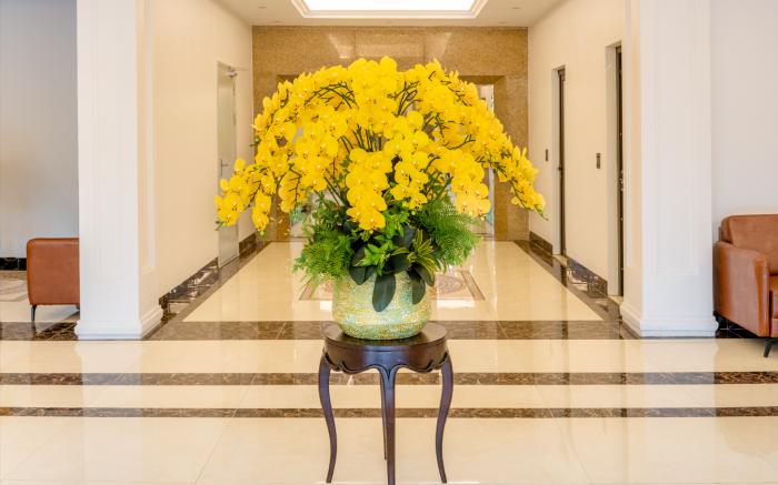 Nui Vang Trang An Hotel Ninh Binh