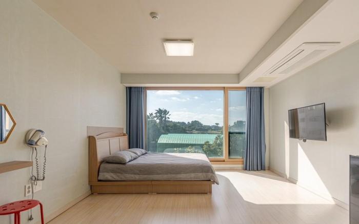 Seongsan Pet-Friendly Sol Pension
