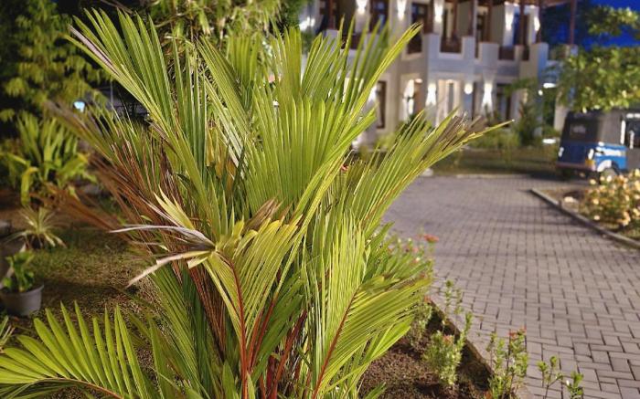 Paddyway Resort