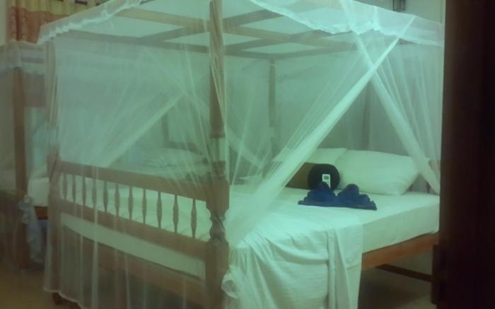 Mirissa Beach Inn