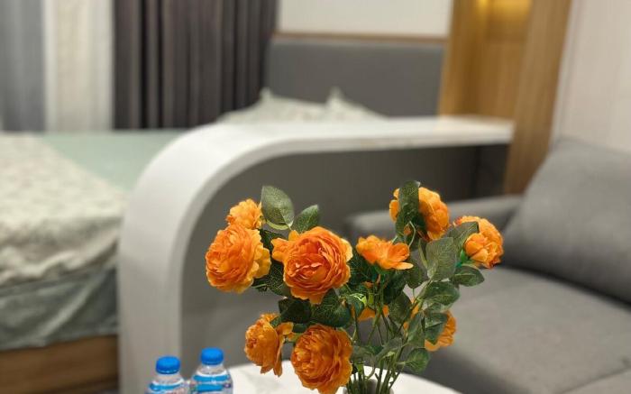 Tonkin Zhomestay Balcony Service Apartment