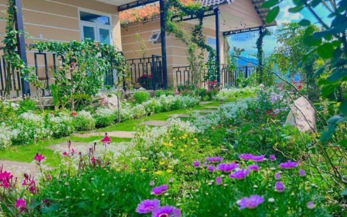 DU MÂY HOMESTAY