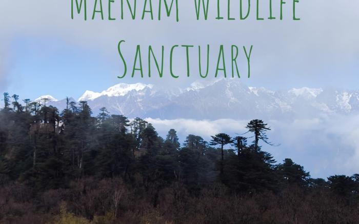 The Alpine Jungle Stay