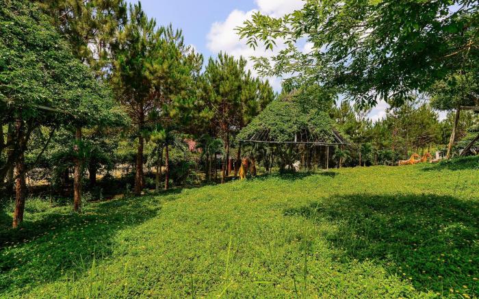 Đắk Nông Lodge Resort