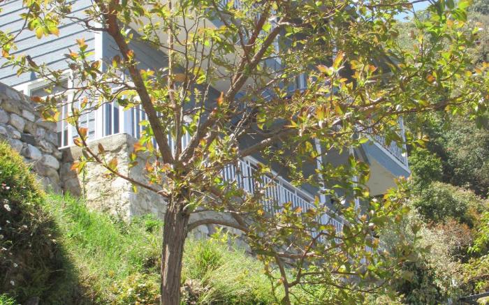 The Great Escape Homestay, Gagar, Nainital