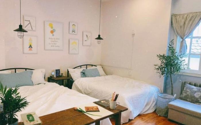 PINE TREE DALAT STUDIO APARTMENT
