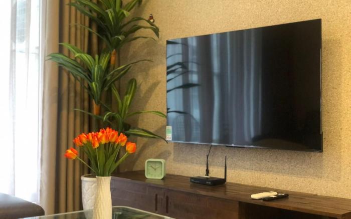Luxury Apartment Near Airport