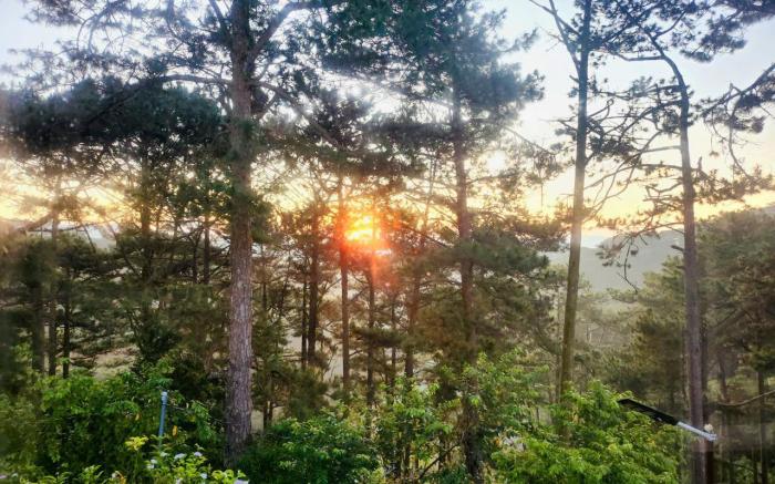 Homecoming Da Lat