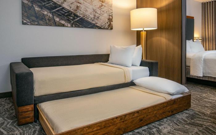 SpringHill Suites by Marriott Hershey Near the Park