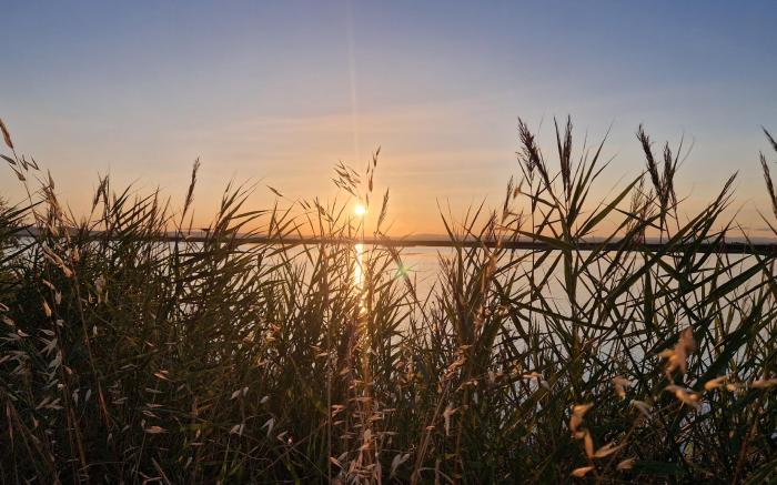 Sable & Pampas 🌟 Meublé de tourisme 5 étoiles 🌟