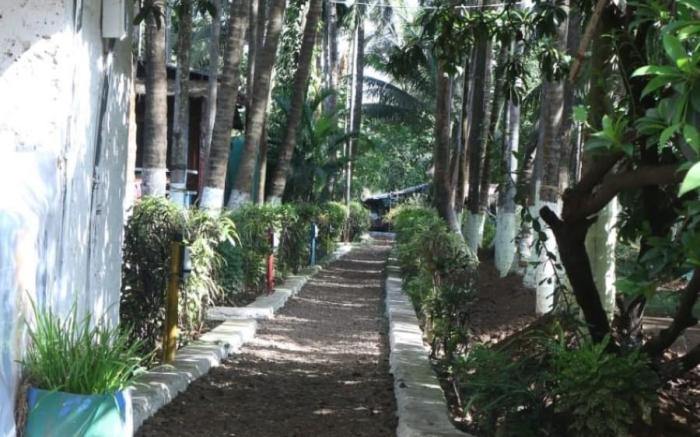  Sanskruti Coco Farm Kolad 