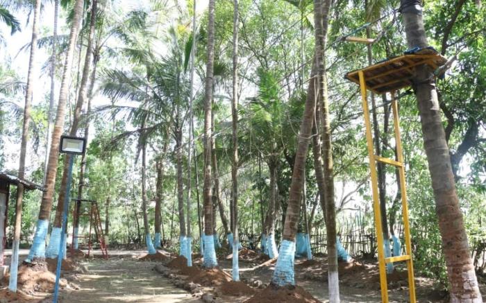  Sanskruti Coco Farm Kolad 