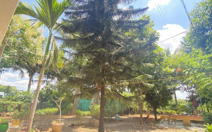 Kanchi Farm House