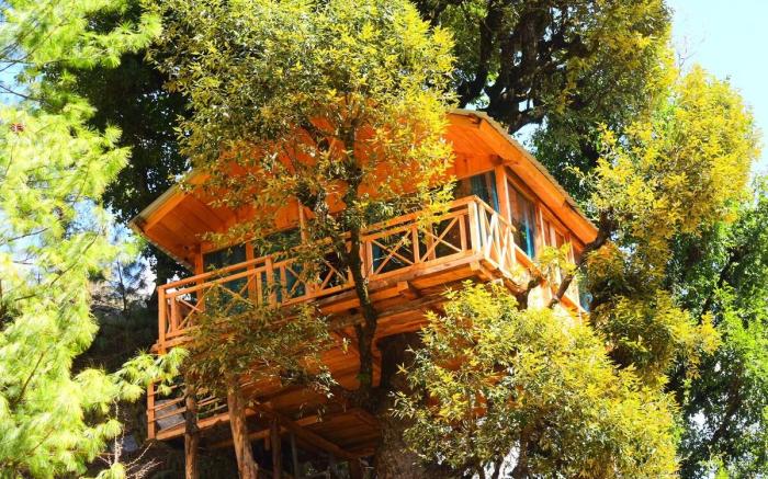 Bastiat Stays | Whispering Pines Cottages| Treehut