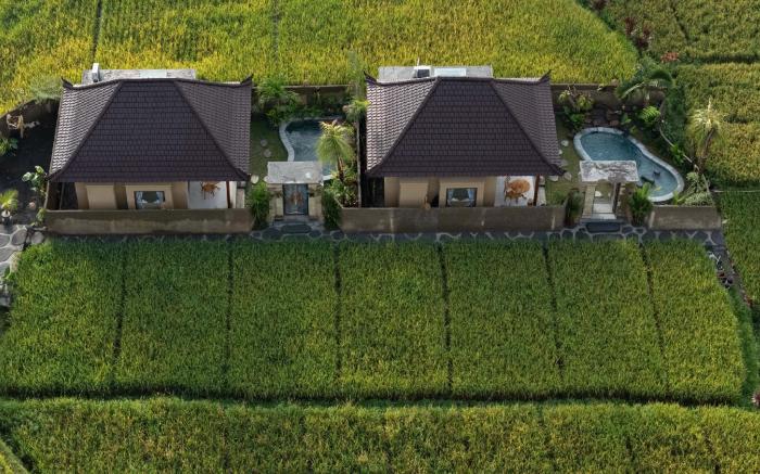 Sawah Sebatu Villa