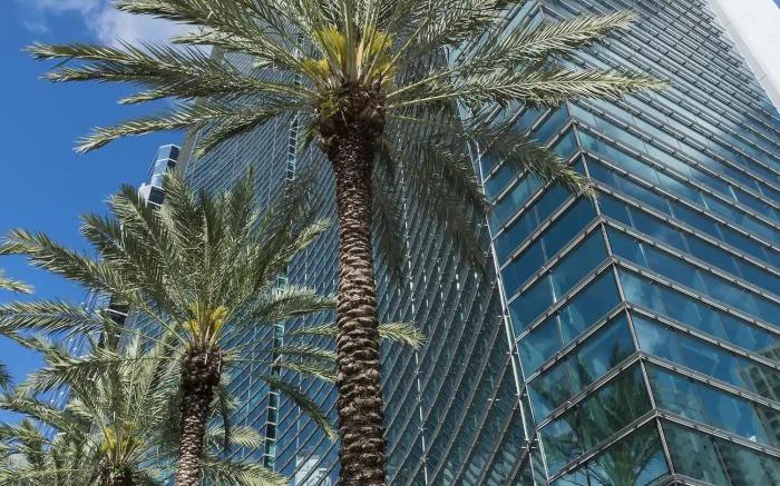 Roami at Brickell Arch