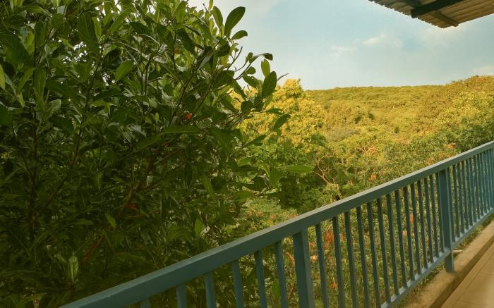 Arambol Bliss Hotel Apartments