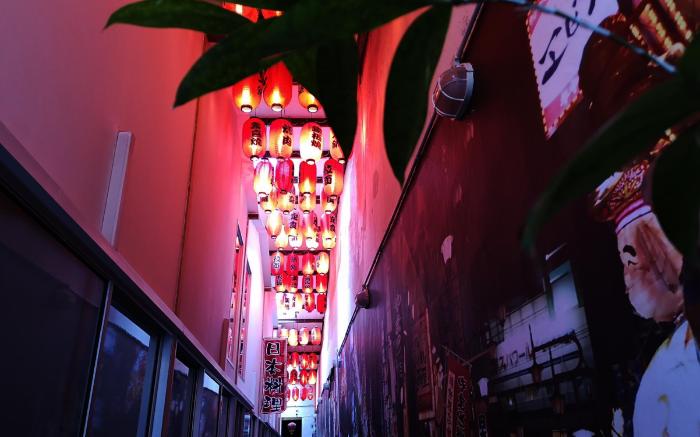 Dou Houz Guest House