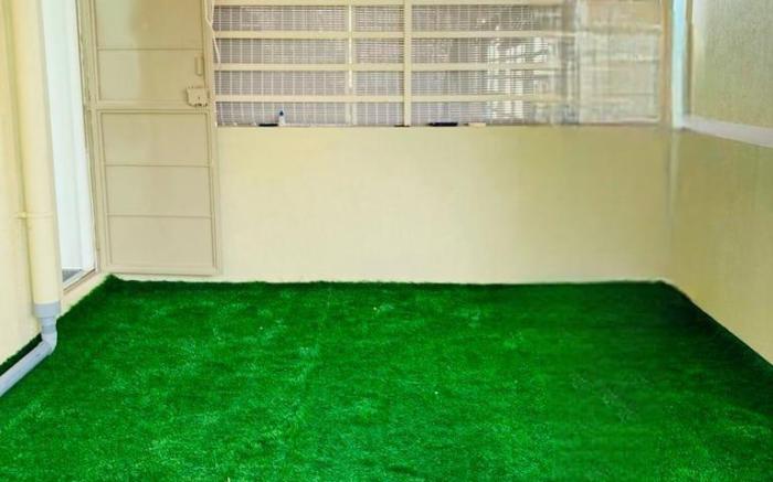 Tranquil Luxury 4 BHK house
