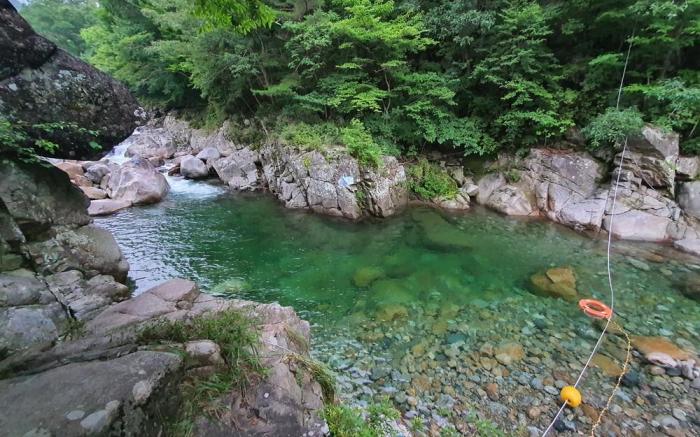Baekmu Mountain Villa Red Clay Pension