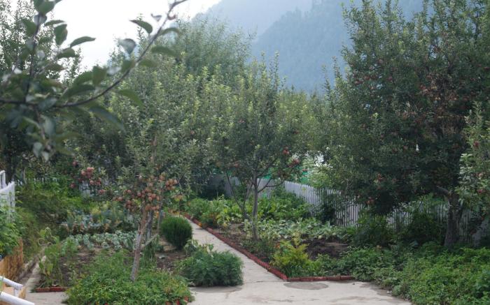 Enthralling Escapes Nature Stay and Trek