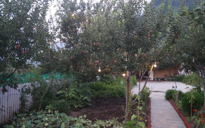 Enthralling Escapes Nature Stay and Trek