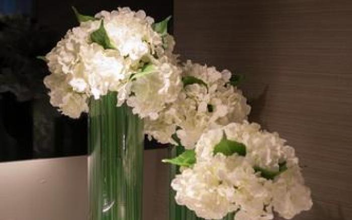 Home Inn Plus Xi'an Big Wild Goose Pagoda Datang Everbright City