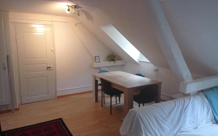 gemütliche Dachwohnung