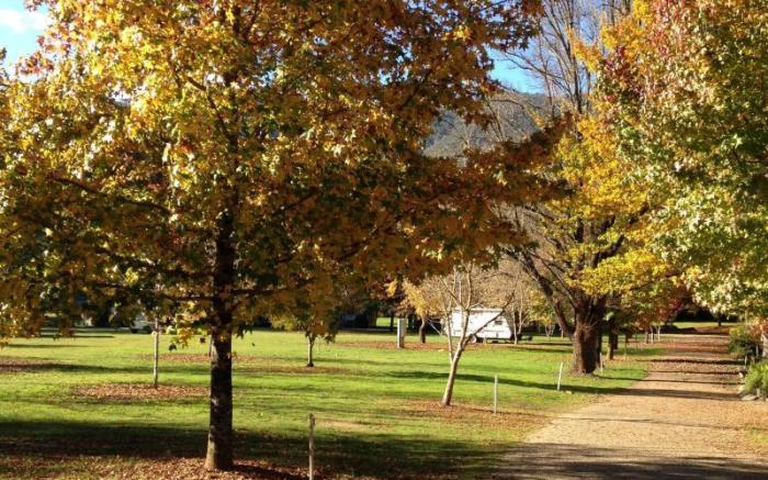 Discovery Parks - Bright
