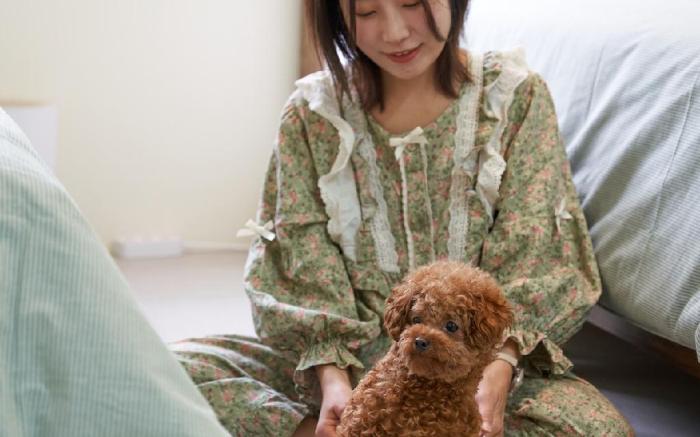 Yeontrail Stay - Dog Friendly
