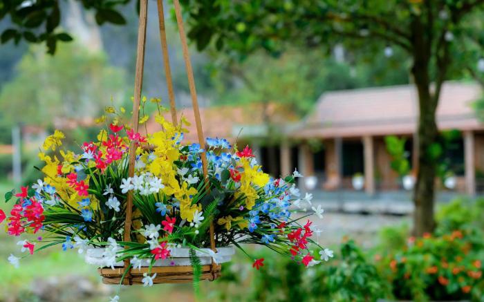 Tam Coc Mr Loa Bungalow