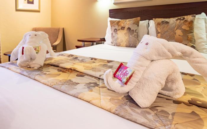 City Lodge Hotel Johannesburg Airport Barbara Road