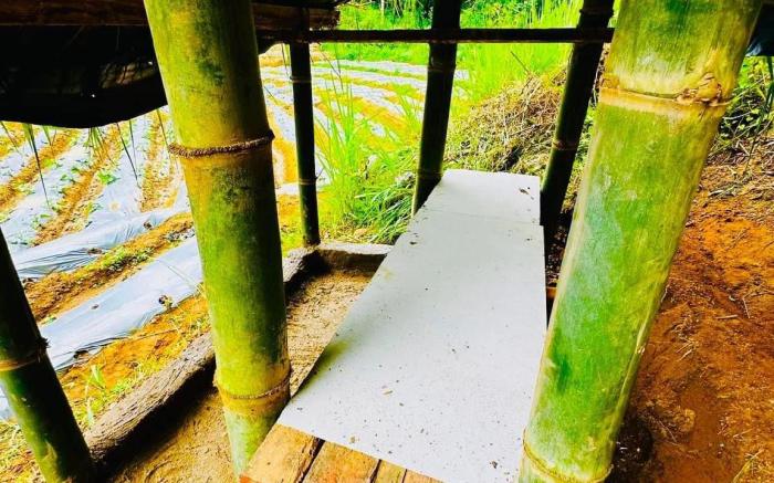 Greenmoret AgriTourism Villa