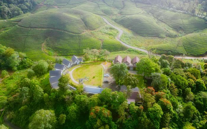 Zero Degree Jungle Resort