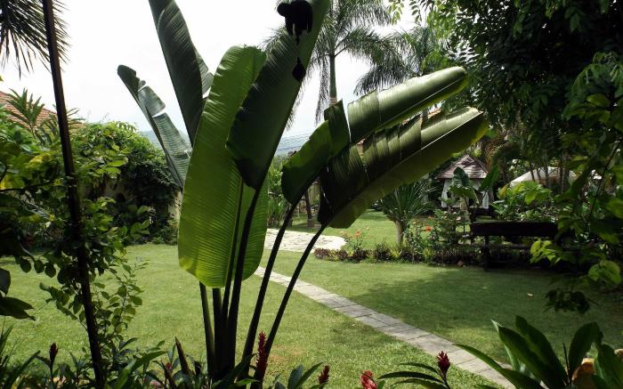 Homestay Chiang Rai 