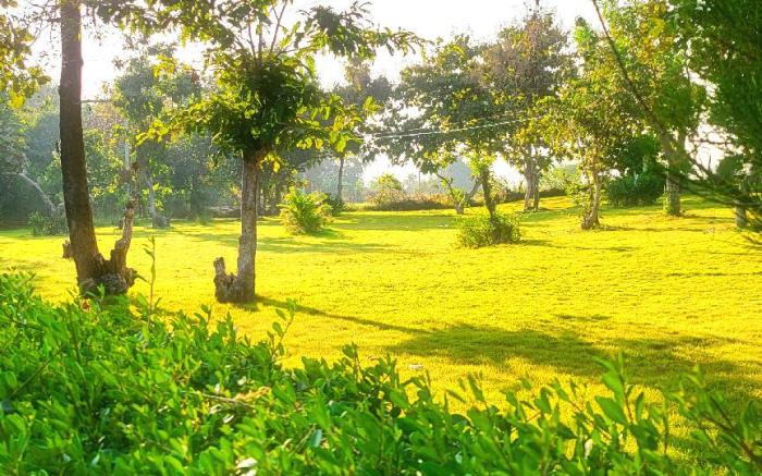 Nature Lovers Resort