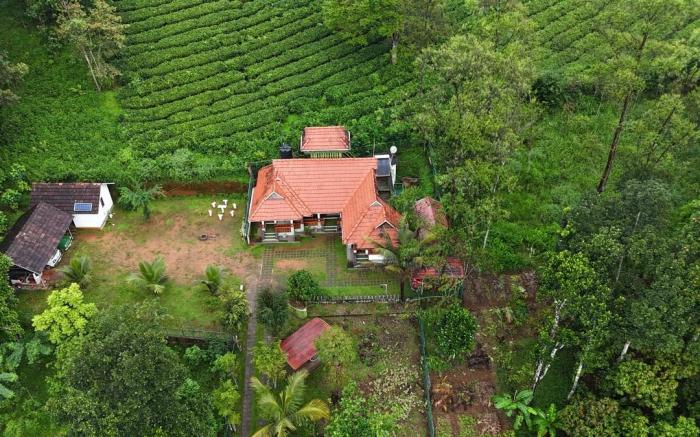 Snow Valley Munnar